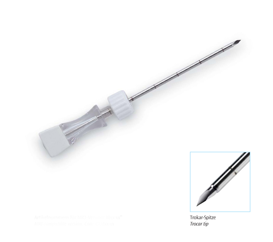 Coaxial Needle